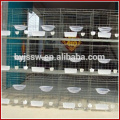 Alibaba Hot Sale Metal Racing Pigeon Loft Design